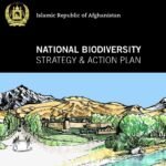 cover page of the National biodiversity strategy and action plan 2014-2017
