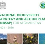 cover page of the National biodiversity strategy and action plan 2034-2030