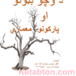 Book cover featuring a dry tree with Pashto text about dried trees and park architecture
