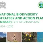 cover page of the National biodiversity strategy and action plan 2034-2030